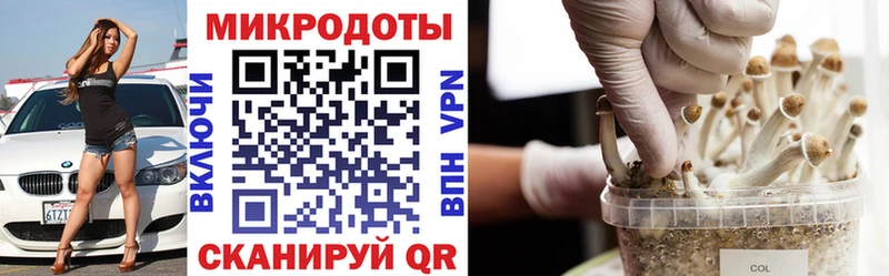 Галлюциногенные грибы мухоморы Красноуральск